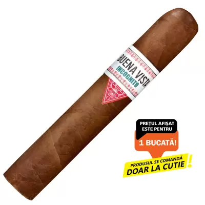 Buena Vista 20 Incognito Robusto (1)