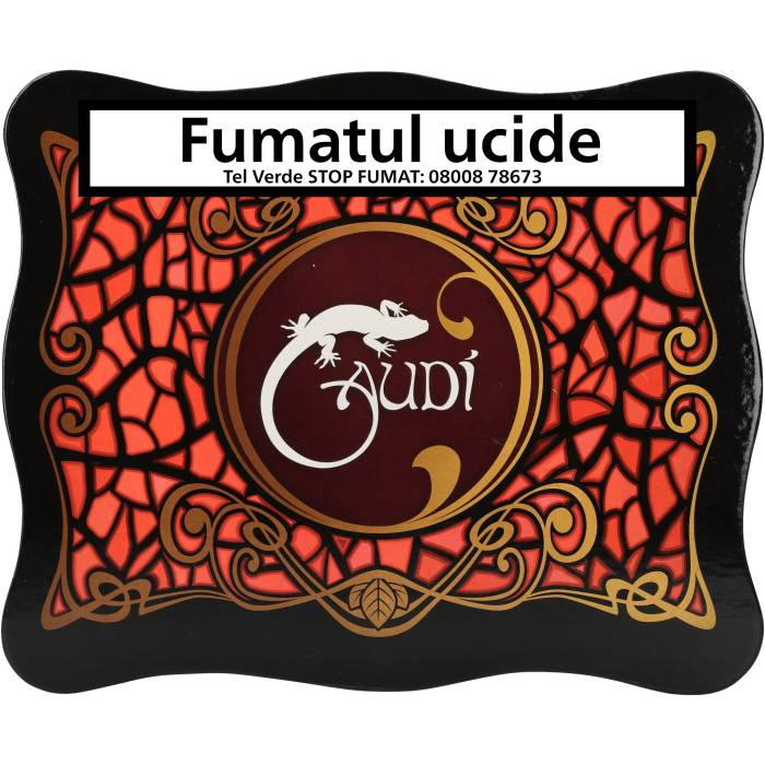 El Viejo Continente Gaudi Rojo (Toro) (20)