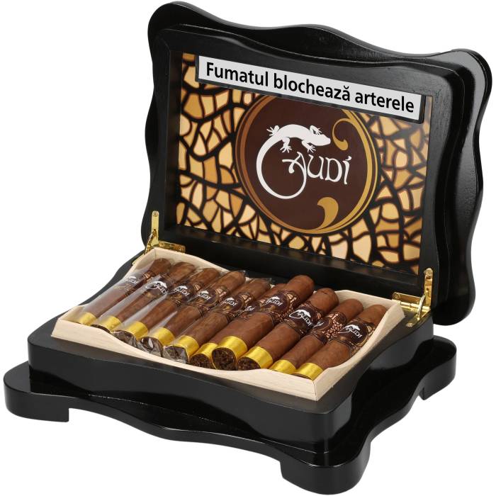 El Viejo Continente Gaudi Marron (Robusto) (20)