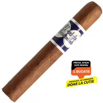 El Viejo Continente 10 Gran Toro (1)