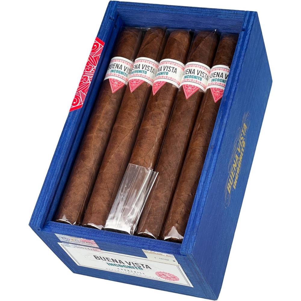 Buena Vista Incognito Churchill (20)