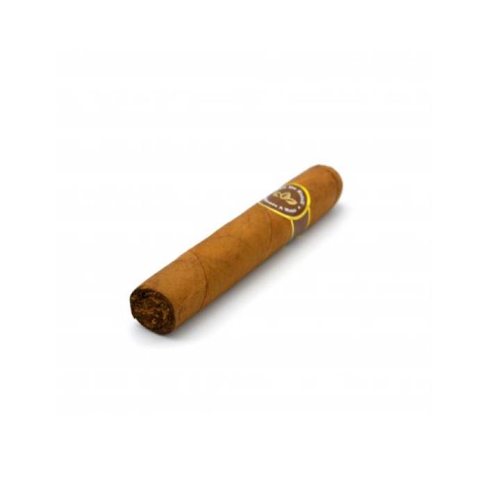 Oro De Esteli Connecticut Bundle Robusto Grande (10)