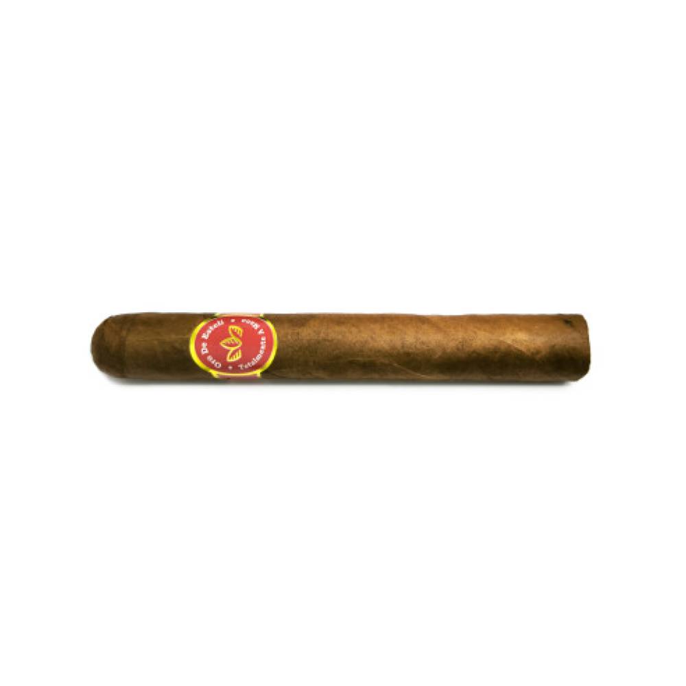 Oro De Esteli Habano Bundle Robusto Grande (10)