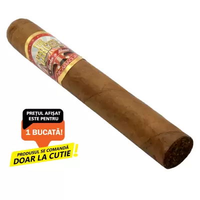 The Circus 25 Magician (Gran Toro) (1)