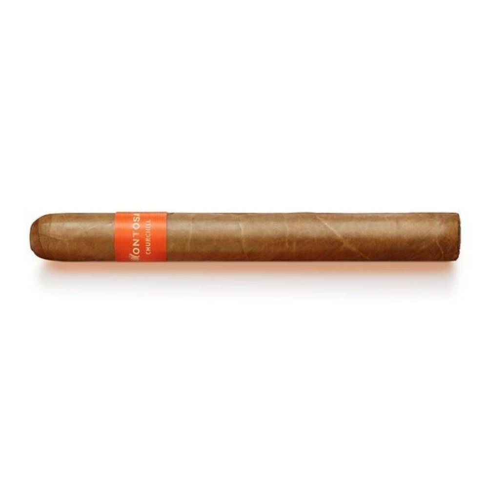 Montosa 20 Churchill (1)